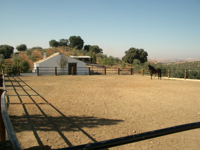 Spanien, Immobilie, Verkauf, Finca, ländliches Anwesen, Reitanlage, Reitplatz Naturliebhaber,  Pferdeliebhaber, Alleinlage, Puerto Serrano, Andalusien, Pferdeboxen, Pool, Oliven, 700000 m², 70ha, Pferdekoppeln, Ferien, Gästeappartments, Luxus Anwesen, Cadiz, Cortijo, Patio, nahe Sevilla, nahe Jerez, Reitanwesen, Hotel Rural, Kaskade, Spain,