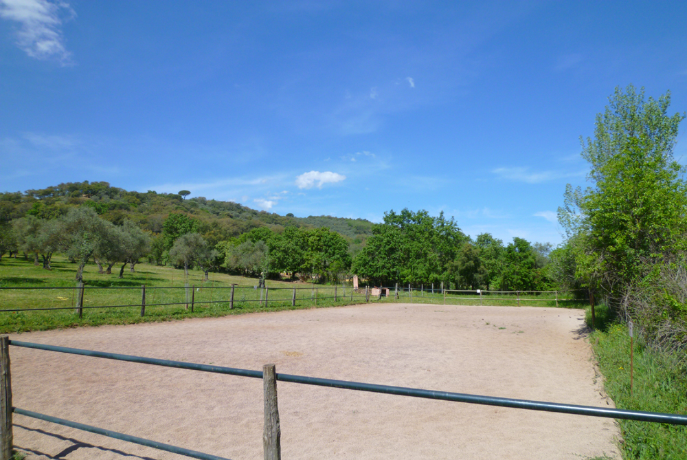 Spanien, Immobilie, Verkauf, Finca, ländliches Anwesen, Reitanlage, Reitplatz Naturliebhaber, Pferdeliebhaber, Alleinlage, nahe Sevilla, Huelva, Andalusien, Pferdeboxen, Pool, Appartment, Pferdekoppeln, Ferien, Gästeappartments, Aracena, Luxus Anwesen, Idyllisches Anwesen, Cortijo, Reitimmoblie, Landhaus, Stall, Südspanien, Olivenhain, Schwimmbad, Casita, Brunnen