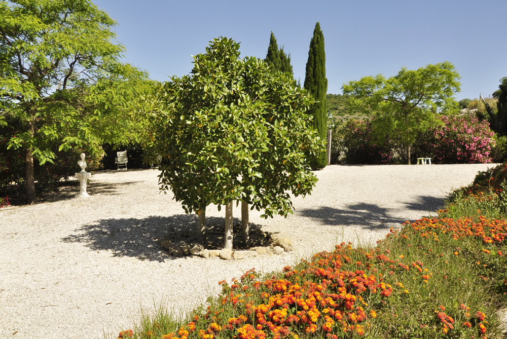 Spanien, Immobilie, Verkauf, Finca, Villa, ländliches Anwesen, Reitanlage, Weidemöglichkeit, Naturliebhaber, Pferdeliebhaber, Alleinlage, Atlantikküste, Andalusien, Cadiz, Vejer de la Frontera, Pool, Conil, Meerblick, Pferdekoppeln, Ferien, Gästeappartments, Luxus Anwesen, Strand, vontreu.com, Michaela von Treu Immoblien, Cortijo