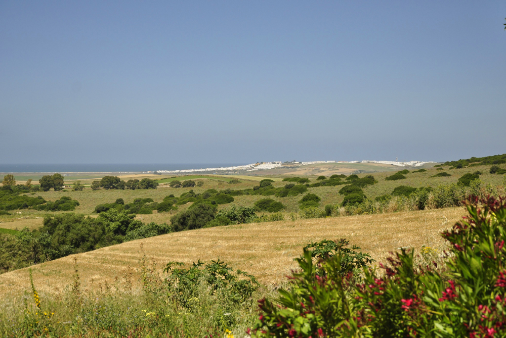 Spanien, Immobilie, Verkauf, Finca, Villa, ländliches Anwesen, Reitanlage, Weidemöglichkeit, Naturliebhaber, Pferdeliebhaber, Alleinlage, Atlantikküste, Andalusien, Cadiz, Vejer de la Frontera, Pool, Conil, Meerblick, Pferdekoppeln, Ferien, Gästeappartments, Luxus Anwesen, Strand, vontreu.com, Michaela von Treu Immoblien, Cortijo