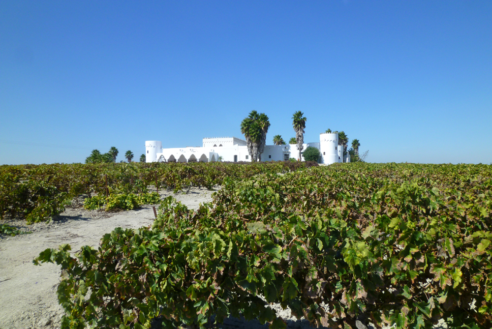 Spanien, Immobilie, Verkauf, Finca, ländliches Anwesen, Reitanlage, Reitplatz Naturliebhaber, Pferdeliebhaber, Alleinlage, Sanlucar de Barrameda, Andalusien, Pferdeboxen, Pool, Spa, Pferdekoppeln, Ferien, Gästeappartments, Luxus Anwesen, Cadiz, Weingt, historisches Weingut, Hubschrauberlandeplatz, Patio, Gartenanlage, Olivenhaine, Wein, Reitimmobilie, Jerez de la Frontera, Sevilla, Galerie, Gutshof, Bodega, Büro