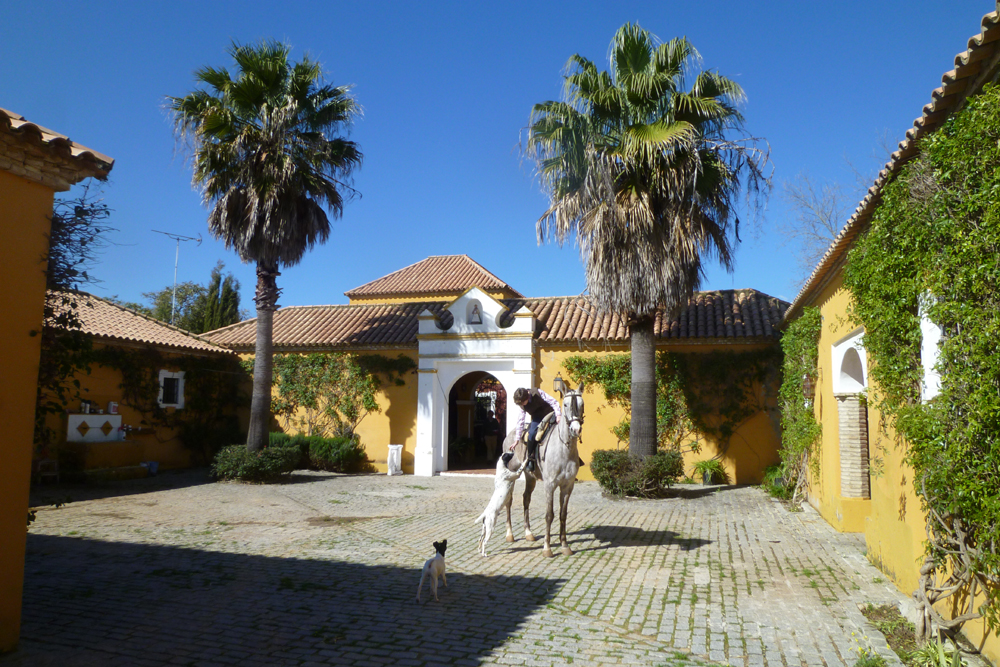 Spanien, Immobilie, Verkauf, Finca, ländliches Anwesen, Reitanlage, Reitplatz Naturliebhaber, Pferdeliebhaber, Alleinlage, Sierra de Sevilla, Andalusien, Pferdeboxen, Pferdekoppeln, Ferien, Gästeappartments, Sevilla, Luxus Anwesen, Olivenhain, Cortijo, Patio