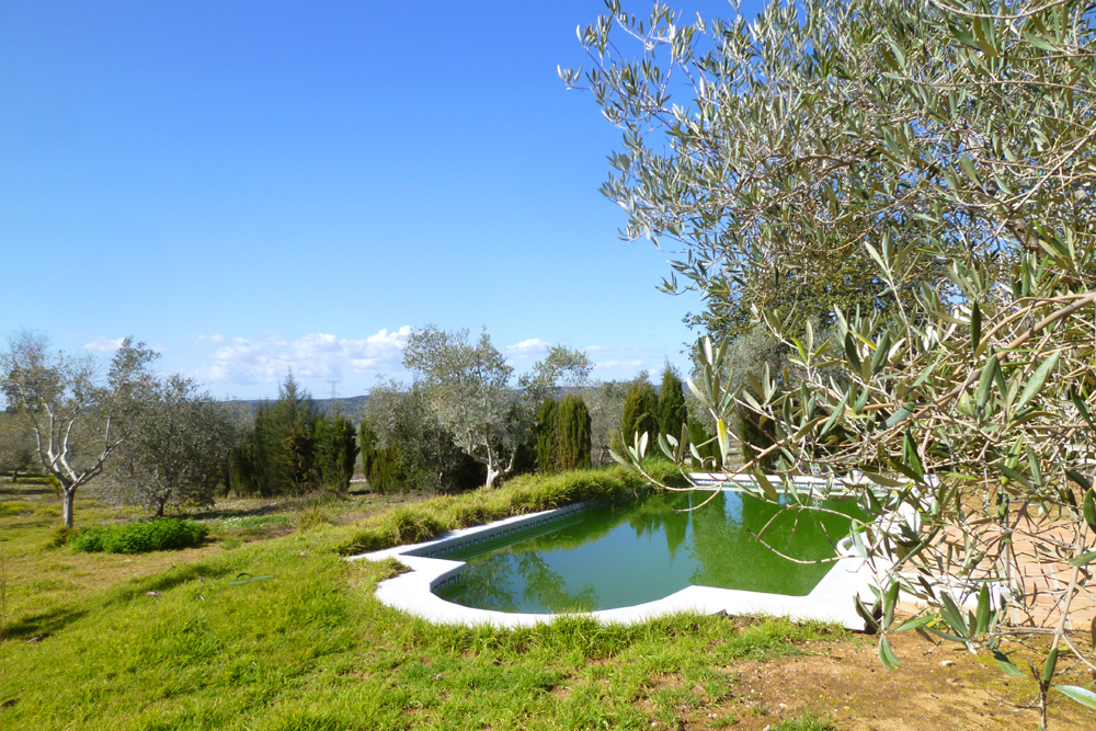 Spanien, Immobilie, Verkauf, Finca, ländliches Anwesen, Reitanlage, Reitplatz Naturliebhaber, Pferdeliebhaber, Alleinlage, Sierra de Sevilla, Andalusien, Pferdeboxen, Pferdekoppeln, Ferien, Gästeappartments, Sevilla, Luxus Anwesen, Olivenhain, Cortijo, Patio