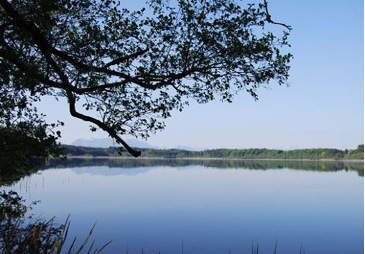 Baugrundstück, Eggstätt, Chiemsee, Chiemgau, großzügiges Grundstück, Alpen, Berge, Hartsee,